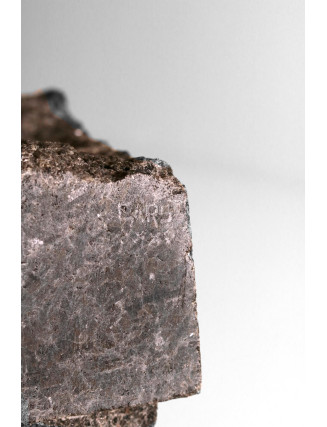 Carlos Rodrigues - Menina à sombra da árvore