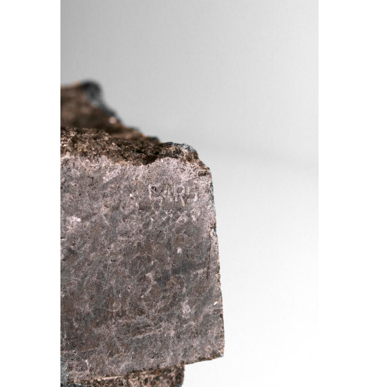 Carlos Rodrigues - Menina à sombra da árvore