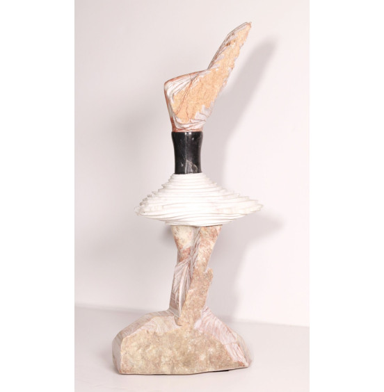 Rogério de Abreu - Bailarina