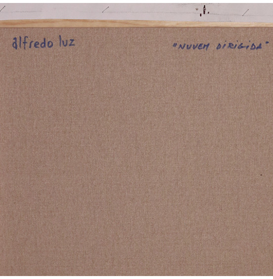 Alfredo Luz - Nuvem Dirigida