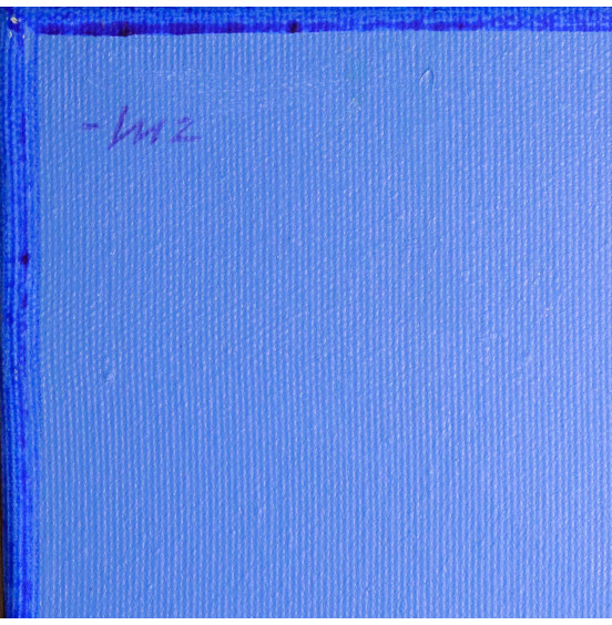 Alfredo Luz - Sem título