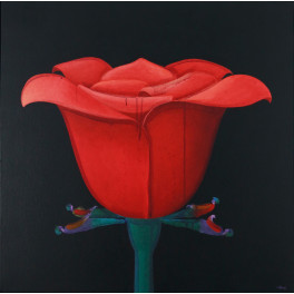 Alfredo Luz - Rosa e planto