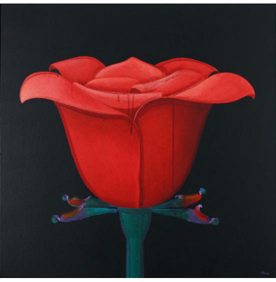 Alfredo Luz - Rosa e planto