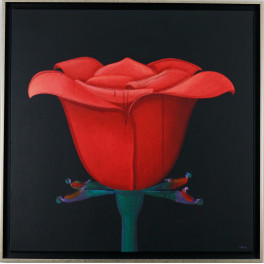 Alfredo Luz - Rosa e planto