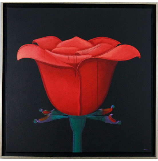 Alfredo Luz - Rosa e planto