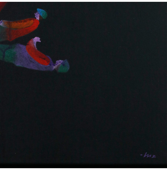 Alfredo Luz - Rosa e planto