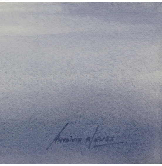 António Neves - Douro