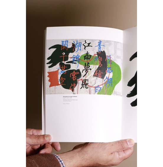 José de Guimarães - Pensando no Lago do Oeste