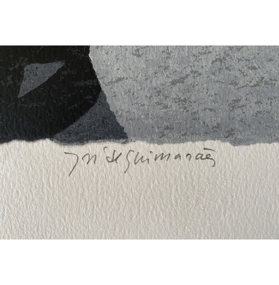 José de Guimarães - Série Mimesis I
