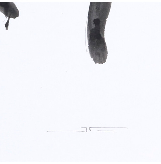 Júlio Pires - Fernando Pessoa