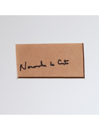 Noronha da Costa - Janelas de Kiev