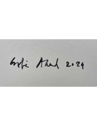 Sofia Areal - Sem Título