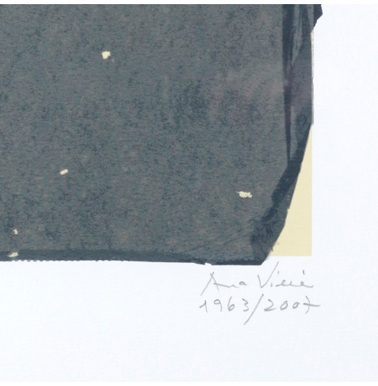 Ana Vieira - Sem título