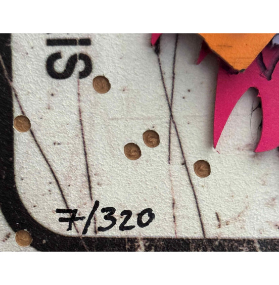 Bordalo II - Half Hedgehog