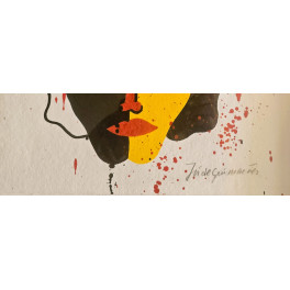 José de Guimarães - Desenhos na areia