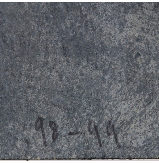 José de Guimarães - Série Cartago