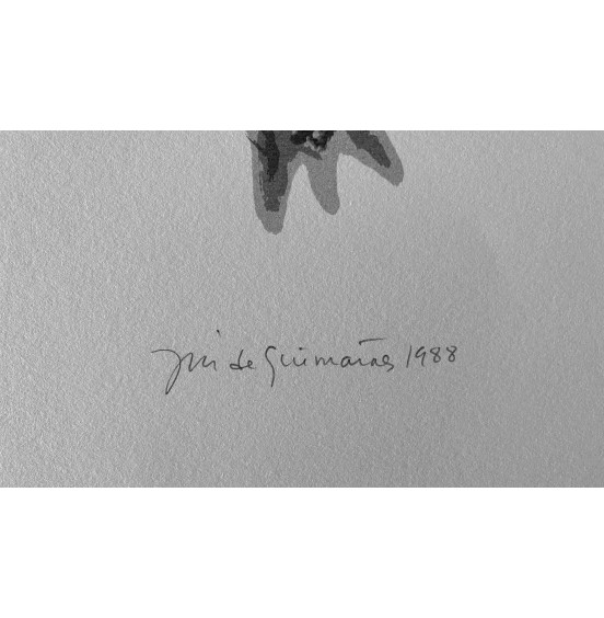 José de Guimarães - Fêmea
