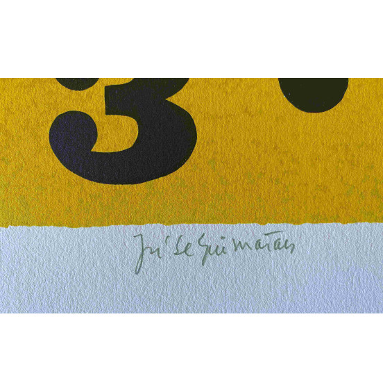 José de Guimarães - Desenhos na areia