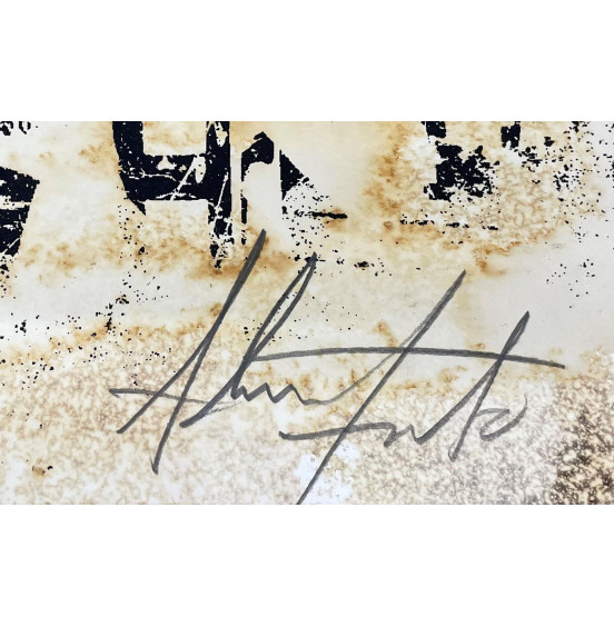 Vhils (Alexandre Farto) - Sem Título