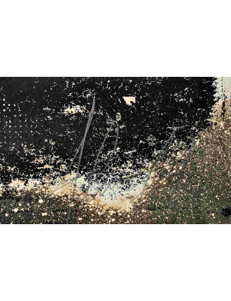 Vhils (Alexandre Farto) - Sem Título