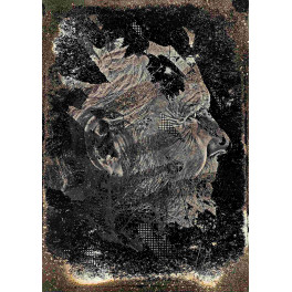 Vhils (Alexandre Farto) - Sem Título